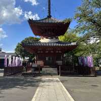 〜埼玉県〜穴場！喜多院川越！美しい日本の寺