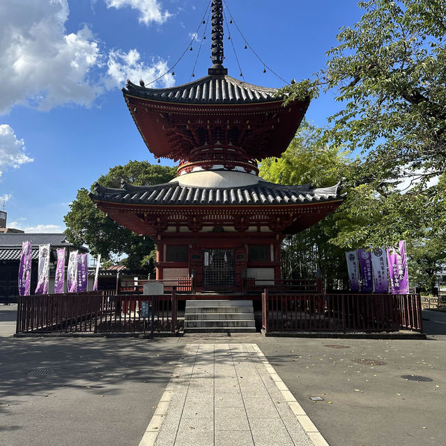 〜埼玉県〜穴場！喜多院川越！美しい日本の寺