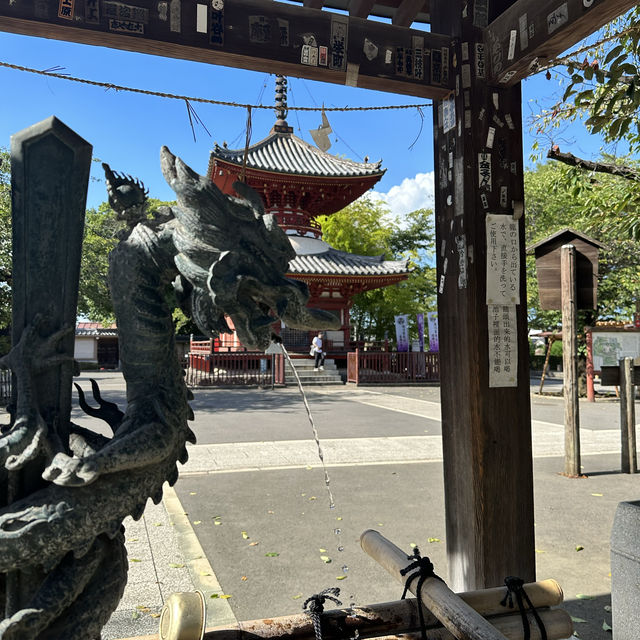 〜埼玉県〜穴場！喜多院川越！美しい日本の寺
