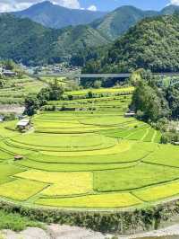 【和歌山】の絶景スポット！あらぎ島で日本の夏を満喫🌿