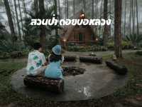 สวนป่าดอยบ่อหลวง
