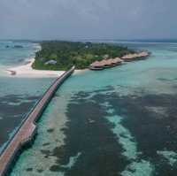 🌴 The Residence Maldives: A Slice of Paradise 🌴