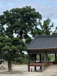 강가에 운치를 즐기시며 🏝️ 유유자적 쉴 수 있는 여주 신륵사 여름여행 💚