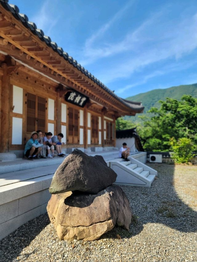 호랑이와 배롱나무가 있는 특별한 사찰🐯💗