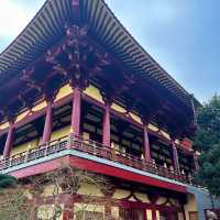 「金台寺」：古老神秘的異域世界