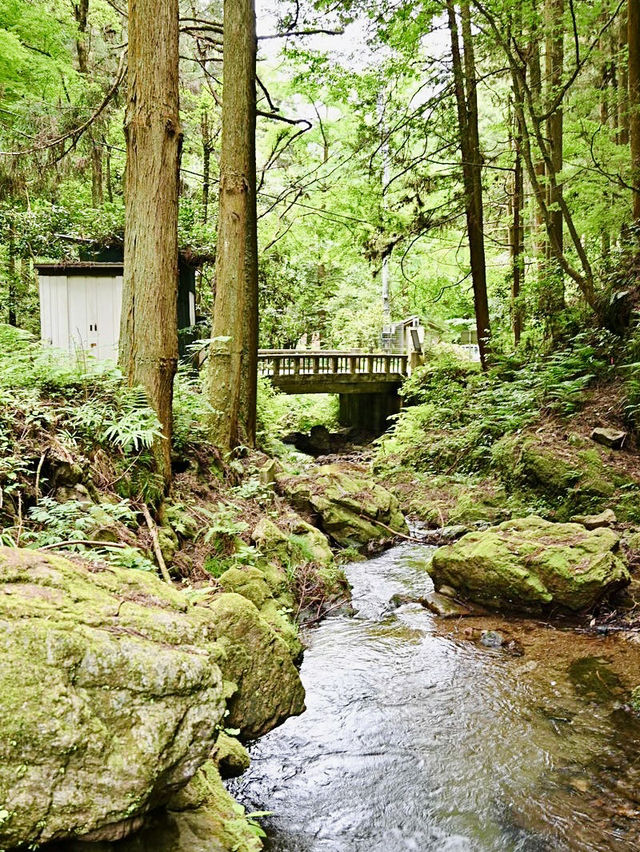 【黒山三滝/埼玉県】涼を求めて越生へ