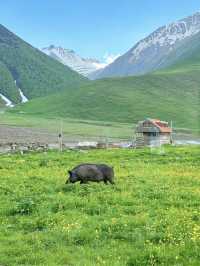 Truso Valley🇬🇪หมู่บ้านแห่งความฝัน