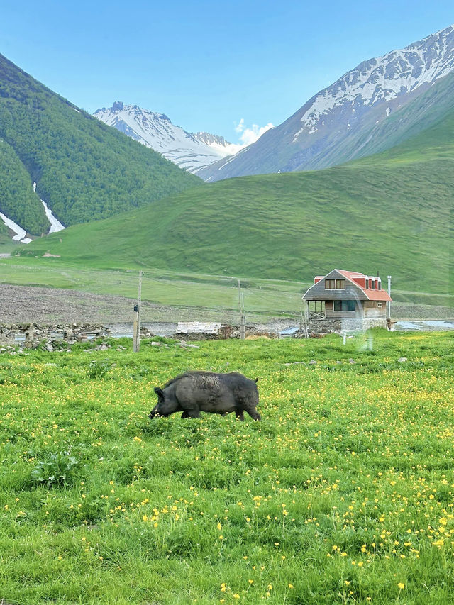 Truso Valley🇬🇪หมู่บ้านแห่งความฝัน