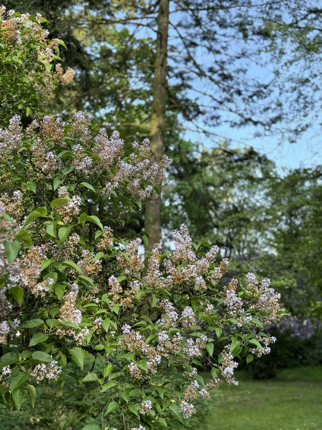 Warsaw | Poland 🇵🇱 【大自然是城市的解藥🌱】