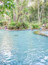 ป่าต้นน้ำบ้านน้ำราด ความสวยงามแบบ Unseen 🌳💦