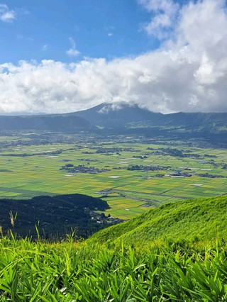 【大觀峰：熊本縣阿蘇市】夏日的綠色美景✨