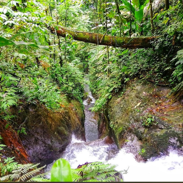 🇲🇾 Lepoh Waterfall: Your Next Adventure Awaits in the Wild