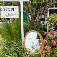 🏖️ Chaplu Cafe & Restaurant  ☁️🌊☀️🍃 