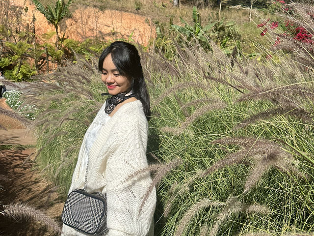 A Cozy Stay at New Life Hotel Da Lat