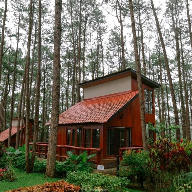 สวนป่าดอยบ่อหลวง อำเภอฮอด เชียงใหม่