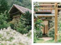 Mori Natural Farm โมริ เนเชอรัลฟาร์ม เชียงใหม่ 