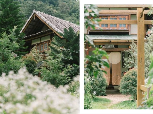 Mori Natural Farm โมริ เนเชอรัลฟาร์ม เชียงใหม่ 