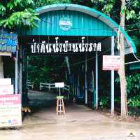 ป่าต้นน้ำบ้านน้ำราด