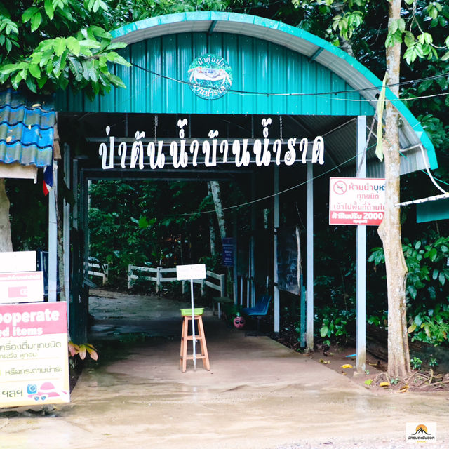 ป่าต้นน้ำบ้านน้ำราด