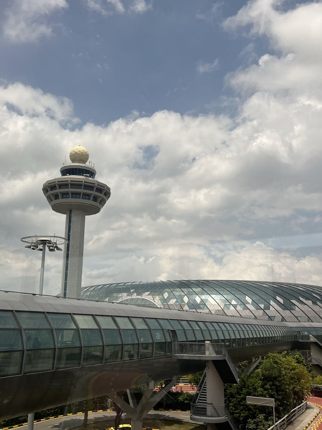 싱가포르 창이공항 이용기 (쥬얼창이 방문기)