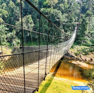 🇲🇾 Interact with the Wild: Kelah Fish Adventure at Tasik Kenyir
