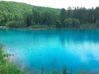 【北海道】ドライブで、色鮮やかな池と花を堪能！！