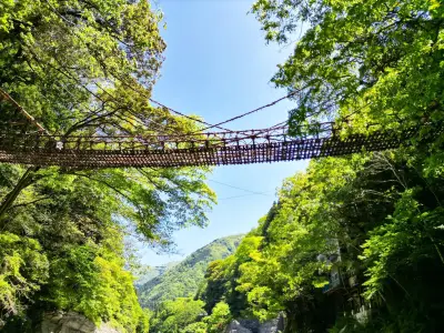 最新】祖谷のかずら橋 - チケット、営業時間、口コミ、写真 [2026年