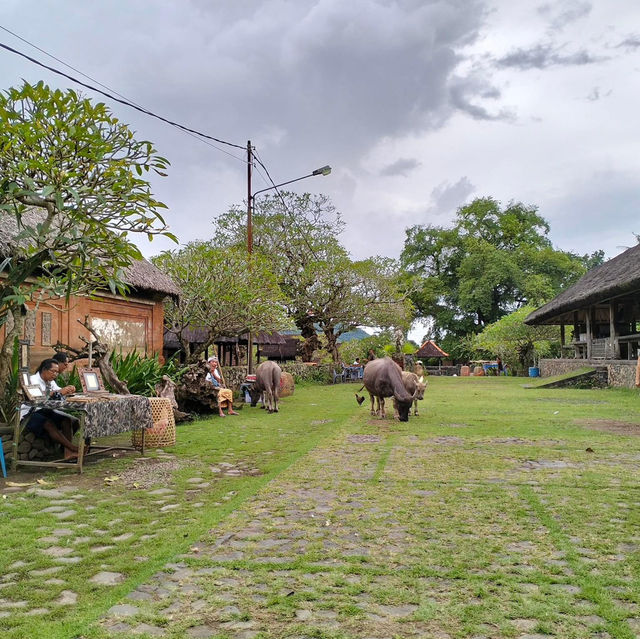 Bali Aga Village Tour, Indonesia