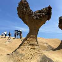 Half day trip to Yehliu Geopark