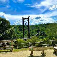 府民の森の中にある吊り橋