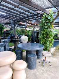 Transforming Spaces with AGRO Nursery’s Landscaping Service