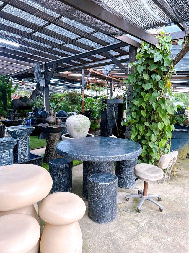 Transforming Spaces with AGRO Nursery’s Landscaping Service