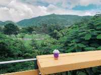 IG-worthy cafes at Khaoyai