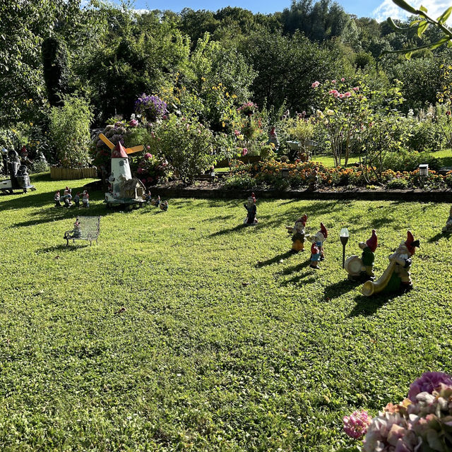 A Verdant Escape with a View