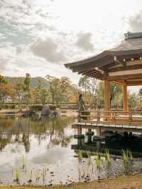 📍紫式部公園
