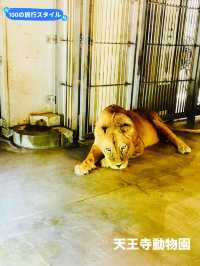 【大阪府】100年を超える長い歴史を持つ天王寺動物園