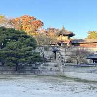 An Ancient rich 🇰🇷 history in Gyeongbokgung Palace
