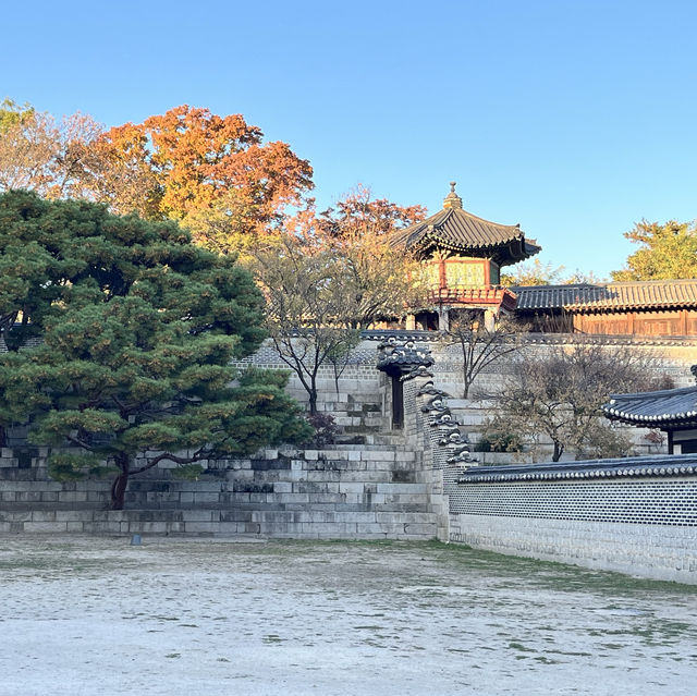 An Ancient rich 🇰🇷 history in Gyeongbokgung Palace