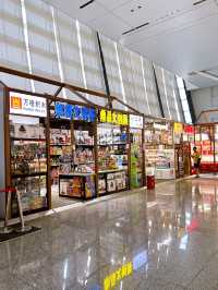 What To Buy at Shanghai Hongqiao Railway Station 
