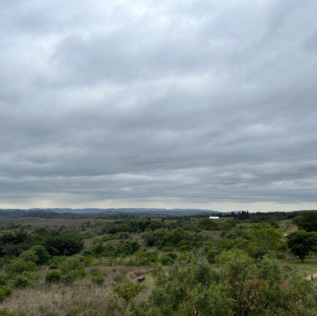 Unearthing Our Origins at the Cradle of Humankind