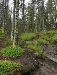 NATURE WALK IN TROLL FOREST, BERGEN