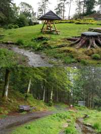 NATURE WALK IN TROLL FOREST, BERGEN