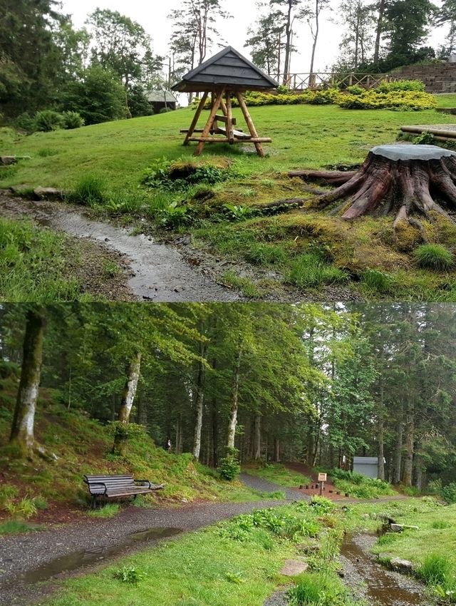 NATURE WALK IN TROLL FOREST, BERGEN