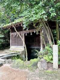 【京都府】古都京都へ行くなら