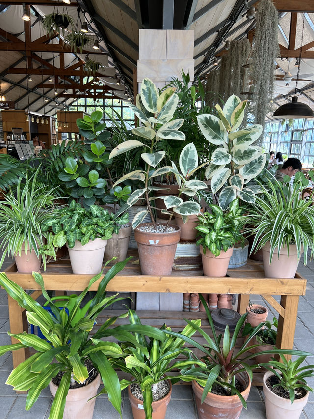 이천 외관카페 티하우스 에덴☕️🍵