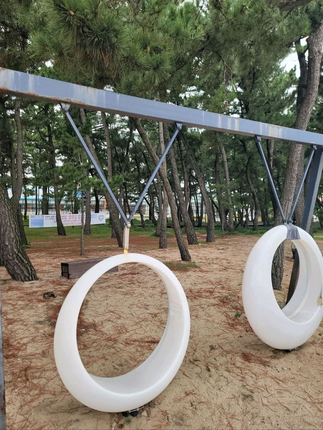 여러번와도 꼭 가야할 강릉여행 필수코스🩵