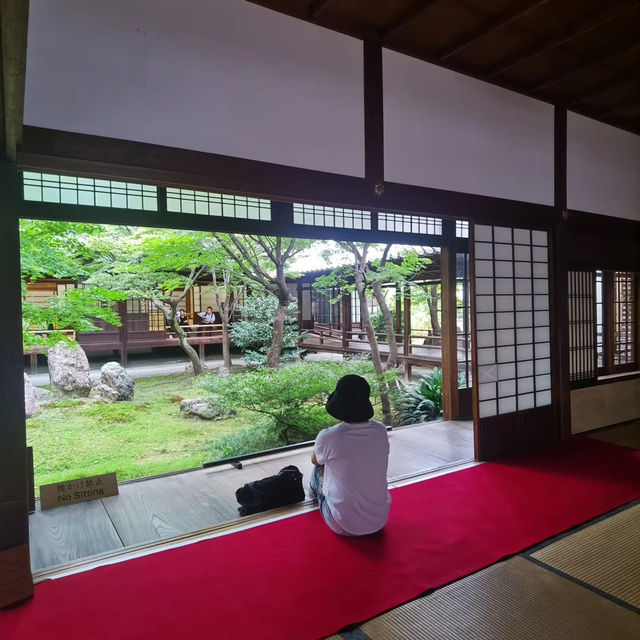 西園院：靜謐美麗庭園 🍃⛩️