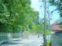 【神奈川/鎌倉】おすすめの観光スポット