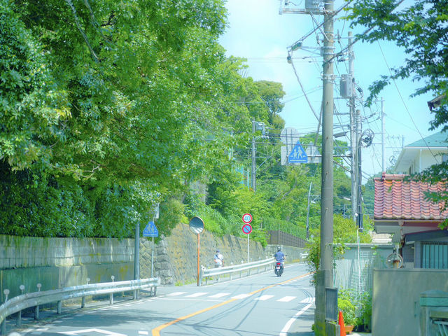 【神奈川/鎌倉】おすすめの観光スポット