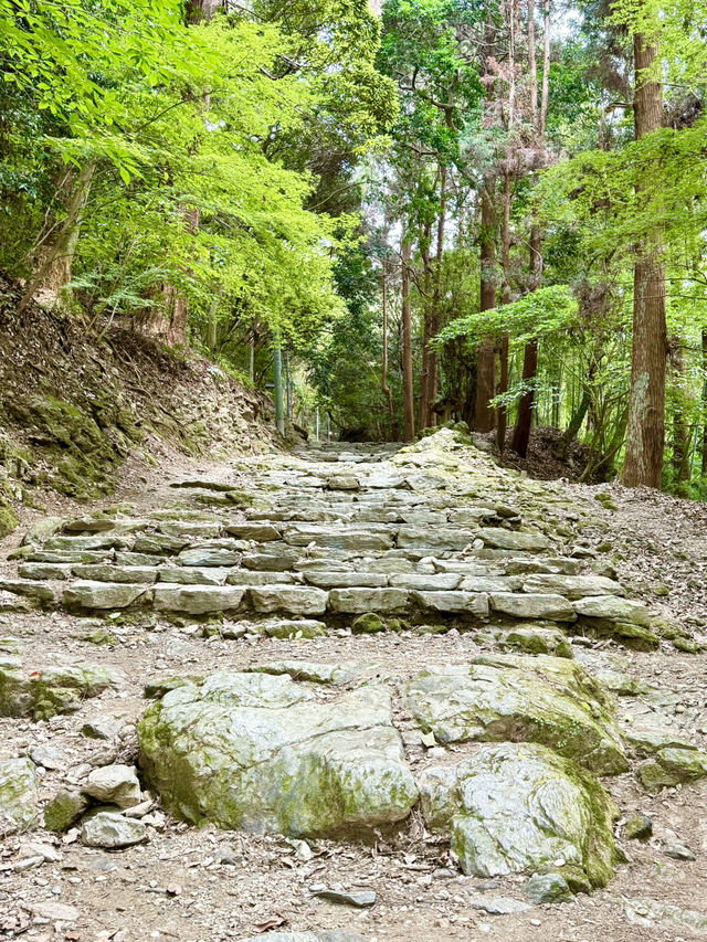 【福岡県】131段上からの市街地は絶景
